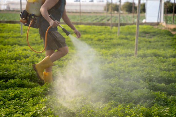 Best Wildlife Control Services  in Westworth Village, TX
