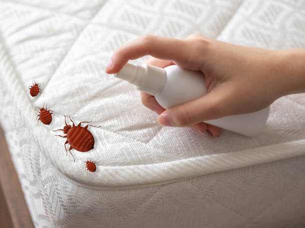 Westworth Village, TX Pest Control Company
