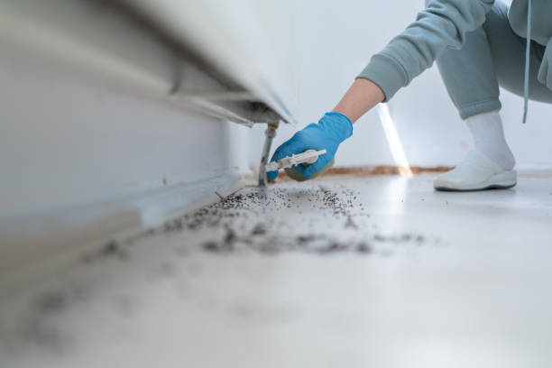 Best Best Pest Control Companies  in Westworth Village, TX